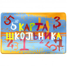 Обложка-карман для карт и пропусков ДПС "Школьник", 64*96мм, ПВХ